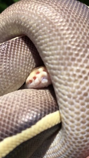 Witches’ Road, huh? Okay. on TikTok