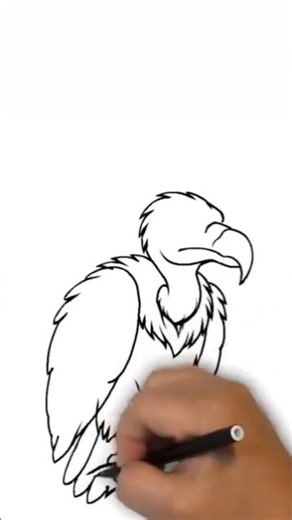 Angry Eagle Drawing 🦅 | Satisfying Art #eagledrawing #bird drawing #animalsketch