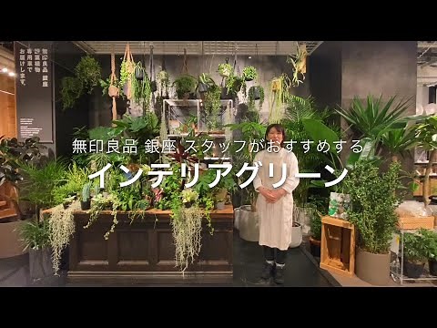 MUJI無印良品:【銀座】スタッフがおすすめする、インテリアグリーン