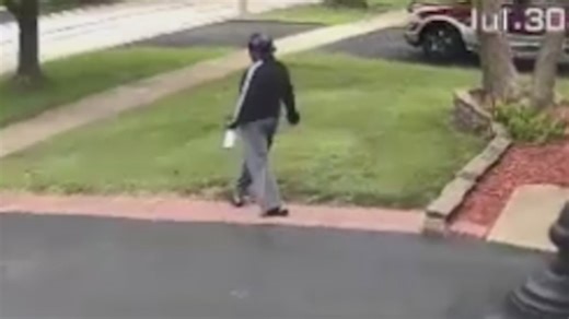 Human remains found believed to be those of missing Naperville woman, police say