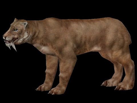 National Geographic Hyenadon Versus Smilodon