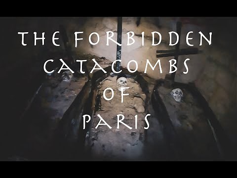 Catacombs of Paris: Hidden Realms Explored