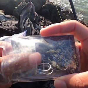 Gigantic Eel! | Fisherman's Life