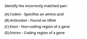 Identify the incorrectly matched pair:(A) Codon - Specifies an... | Filo