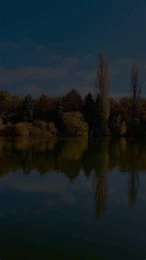 Spiritual Divine Journey ✨ on Instagram: "⚠️ “You Don’t Want God to Take His Hand Off You.” ⚠️ He speaks a sobering truth: the worst place to be isn’t conviction — it’s silence. If your conscience is still stirring, if you feel challenged or convicted, that means your heart is still tender, still reachable, still able to be changed. 🕊️ He points to Herod’s guilty conscience as evidence of something greater — it testifies that there is a Creator, that there is a moral law, and that God is still 