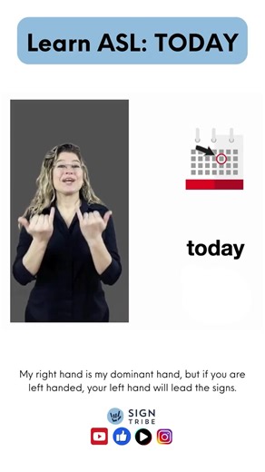 Sign Tribe | ASL Courses on TikTok