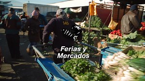 28K views · 1.3K reactions | La variedad de productos es una de las características de nuestra tierra y qué mejor lugar que una feria o un mercado para encontrar lo mejor de lo nuestro. | Marca Chile | Facebook