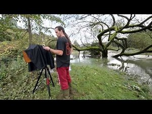 A monster tree as an ambrotype, as a carbon process and albumen print processes