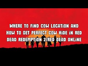 Where to Find Cow Location and How to Get Perfect Cow Pelt in Red Dead Redemption 2/Red Dead Online