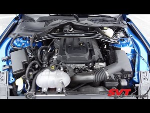 DYNO RUNS!!! | 2020 2.3L High Performance Mustang | EcoBoost