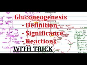 14. Gluconeogenesis | In depth concept but extremely simple | Biochemistry