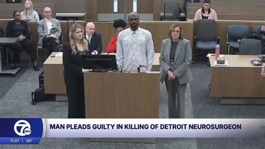 Man pleads guilty in killing of Detroit neurosurgeon