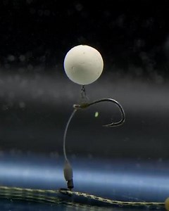 The BEST rig of all time?! The Chod rig was mainly all you saw a few years ago, it may have decreased in popularity, but its effectiveness is still hard to beat! With spring fast approaching, single hook baits come into their own, and a chod rig could be the presentation for you. Harry Charrington talks through the set up, what is needed and how to tie it. #FoxInternational #Carpy #Fishing #CarpFishing #CarpRigs #FishingTips #Tactics #ChodRig | Fox International