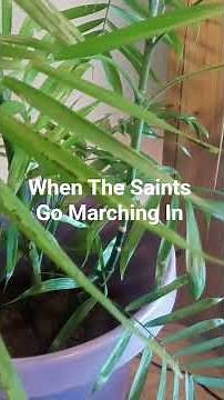 WHEN THE SAINTS ARE MARCHING IN