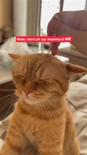 Everything <<< Mummy ki champi 🌏. #FCReels | FilterCopy