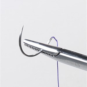 [Hot Item] with Needle Types of Surgical Sutures Needle Suture Surgical Sutures Non Absorbaple