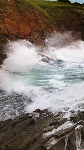 If you’ve always wanted to visit Newfoundland and Labrador, maybe this is the year. Come run wild, and let your memories be the envy of your dreams. | Newfoundland & Labrador Tourism