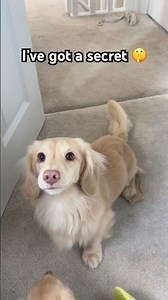 I’ve got a secret 🤫🤍