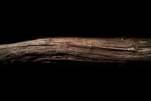 This 430,000-Year-Old Stick Could Actually Be One of Humanity’s Earliest Tools