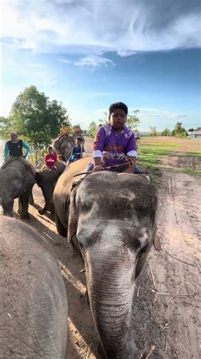 It's impossible to tell the difference❗️ between a mahout and an elephant🤣 They look so alike! #M...