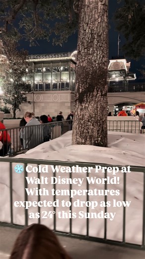 Cold Weather Preparation at Walt Disney World