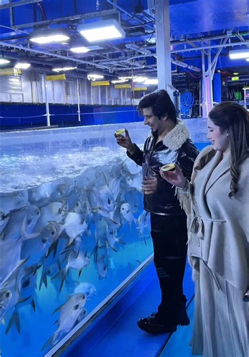 Sid Mr. Rapper: Latest Performance Highlights