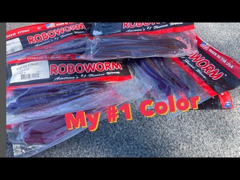 My #1 ROBOWORM Color | Produced my PB in a Tournament | #bassfishing