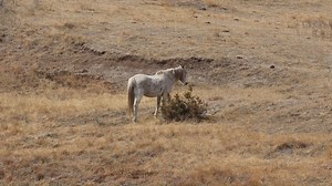 17K views · 3.7K reactions | Hello again! Here is a short video...