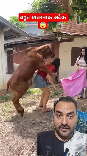 Building Wooden Log Cabin in Forest | Survival House Step by Step"GSM2.0 3632000 #shortsfeed #shorts