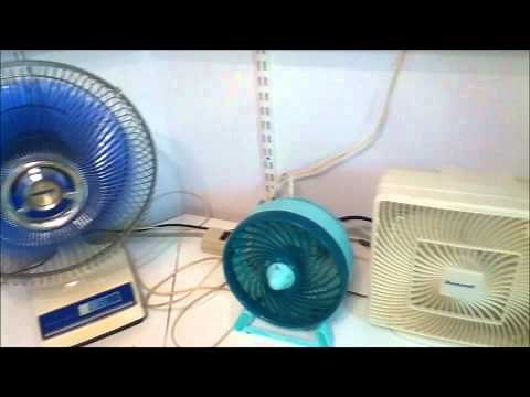 The First Start-Ups Of Fan Season