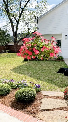 We made it! Spring is here! Like this post if you are ready for all things new. Give me all the warm temps, new flowers, green grass, and longer days. And I am claiming it…. Let new things SPRING forth in our lives. Who’s with me?! 🌸🌸🌸 | Simply Southern Cottage