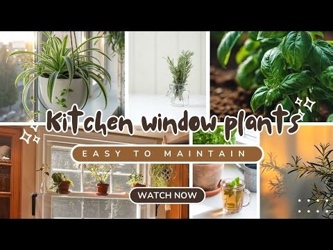 Kitchen Window Plants Ideas | Fresh Green Decor for Your Kitchen 2026