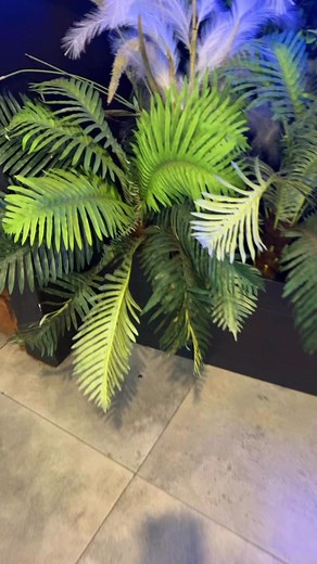 #Zbar&restaurant | Z BAR & Restaurant