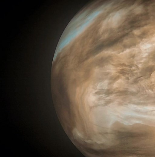 Venus: A Vintage Music Gem from Frank Avalon