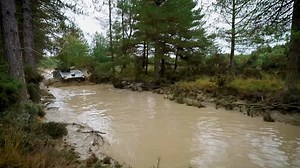 The Armoured Fighting Vehicle Boxer being put through its paces. Boxer will be crewed by the Armoured and Armoured Cavalry Regiments of the RAC. To join the RAC please visit: https://jobs.army.mod.uk/roles/royal-armoured-corps/ #Armyjobs #Armoured #Boxer #FindandDestroy #Britisharmy | Royal Armoured Corps