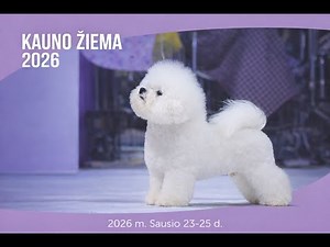 LKMS Ringas 1 „KAUNO ŽIEMA’26“ „KAUNO WINTER'26" 26-01-23 (CACIB)