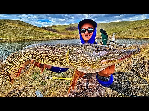 Fishing Northern Pike Heaven in Saskatchewan Canada