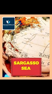 17 reactions · 34 shares | The Sargasso Sea is a distinctive area of...