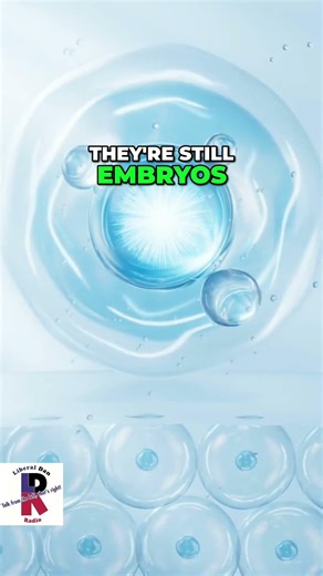 Frozen Embryos are NOT Babies! Viral Facebook Debate Explained #shorts