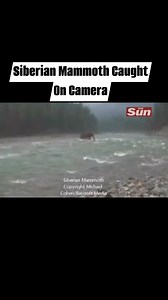 1.5M views · 16K reactions | Siberian Mammoth Caught On Camera | Almost Canon Podcast | Facebook