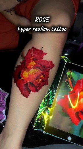 Rose | hyper realistic tattoo #bernardshand #tattooartist #tattooshop #tattoostudio #tattoo #tattooreels #tattoovideo #tattooideas #hyperrealismtattoo #realistictattoo #colorrealismtattoo | Bernard's Hand