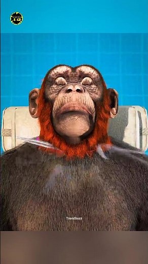 This Is One of the Best Examples of How Advanced Medical Science Is Today #science #invention