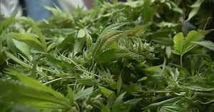 U.S. House of Representatives approves legislation to decriminalize marijuana at federal level