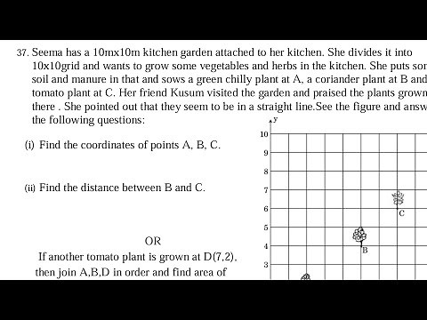 case study based questions class 9 maths chapter 3 | case study maths class 9 coordinate Geometry