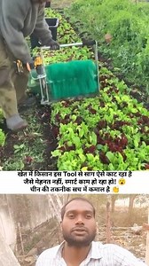 In this video, a Chinese vegetable cutting tool is shown being used by a farmer in the field. The tool helps cut leafy vegetables quickly and efficiently, saving time and hard work. I am reacting to this smart farming tool video. Watch till the end and share your thoughts! #fbreelsfypシ゚ #viralreels #viralpost2026 #SmartFarming #ChineseTool #AgricultureInnovation #farmerlife @topfans | Amresh kumar Aman