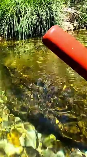 Kadector Juliaca - Detector de tesoros y pepitas de oro on Instagram: "Pinpointer MI-6 excelente para todo tipo de terrenos. #maquinadetectoras #ofertas #xp #Kadector #kadectorjuliaca"