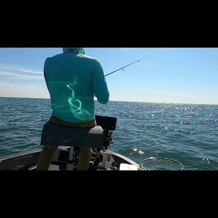 26 reactions | How about a little VMC snitch jig action for a pre walleye wednesday. I have really been liking the g loomis SJR 902 NRX for for throwing jigs with worms. The slightly slower action and parabolic action work well for not throwing worms off, getting on the fish too quickly and some cushion for fighting them. The mega live 2 really makes it all possible for getting it right in front of their face too. #bigwater #walleye #fishitwell #goboldly #shimano | Bigwater Fishing | Facebook