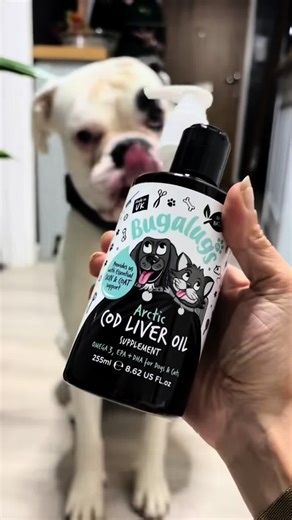 BuddyBeautifull on TikTok