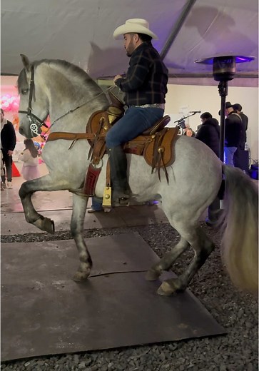 Gente de Rancho: Traditional Dancing and Horses in Washington