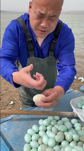 These Fake Eggs from China Look Real Until You Crack Them Open